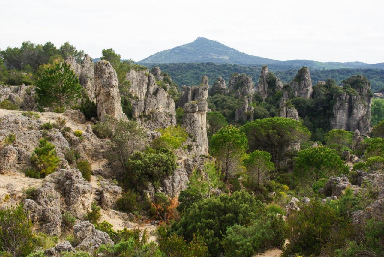 "Evasion"-Meuble De Tourisme 3 Etoiles -Residence "Les Logis De Beziers"-Garage Optionnel-Coeur De Ville-Plages A 16Km ! מראה חיצוני תמונה